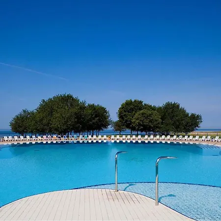 Lejlighed 1 Bedroom Amazing In *